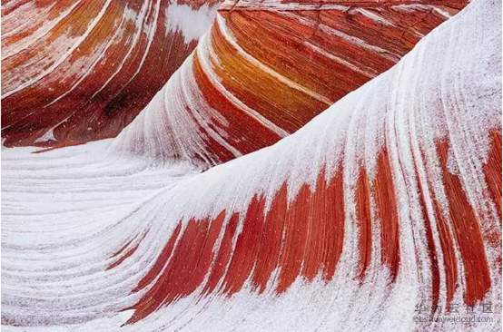 1533866076742342.png image.png