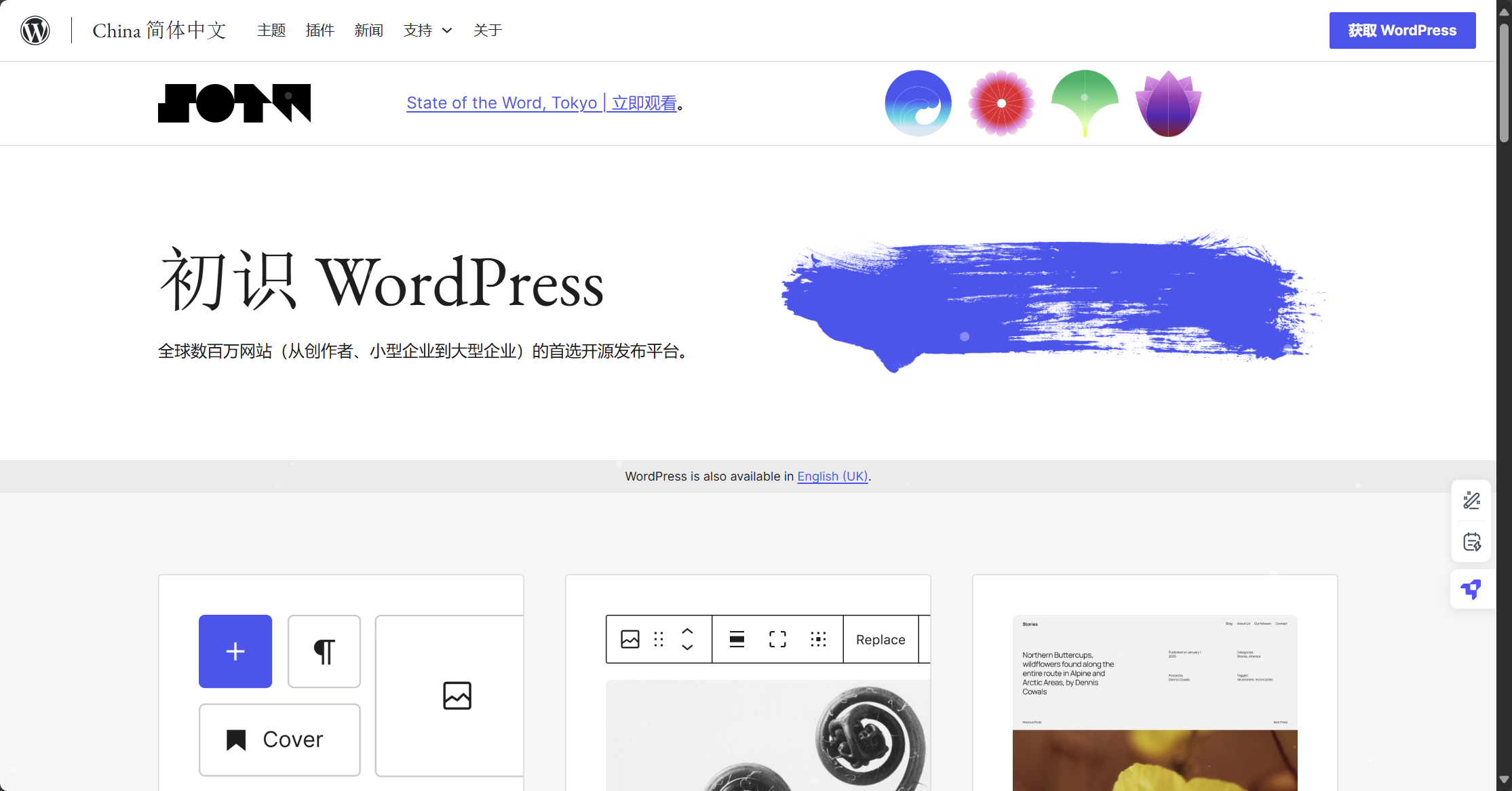 wordpress.png