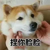 0008ae9f3f58e492fefdd1504a2d145.jpg