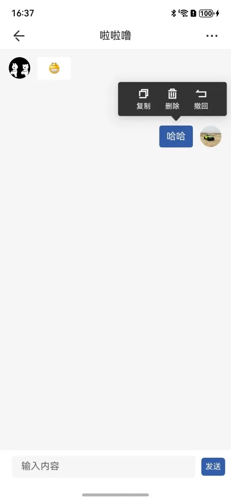 screenshot_20250529_163754.jpeg