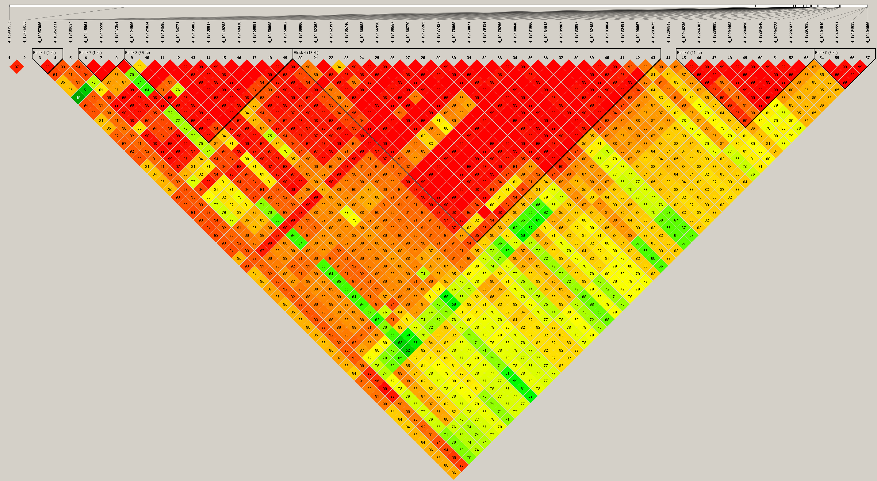 Image 4.PNG