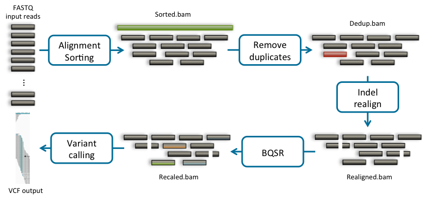 DNAseq.png