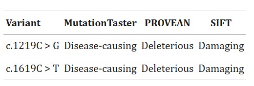 屏幕截图 2025-02-07 134203.jpg