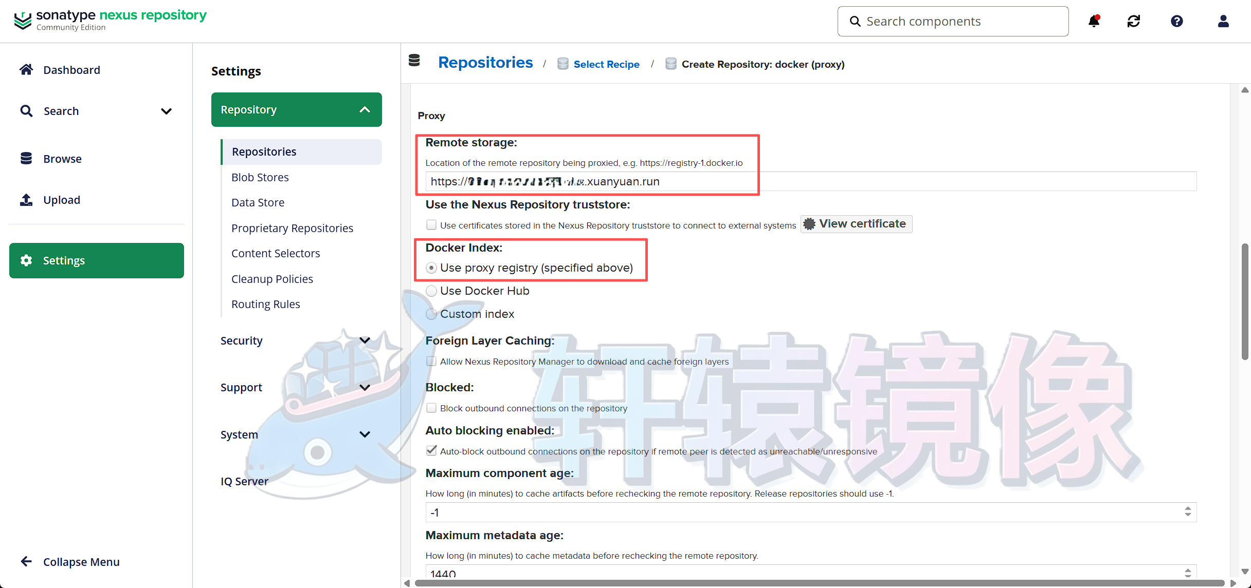Proxy远程存储配置