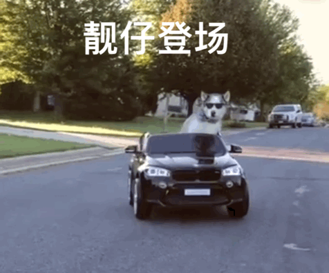 4.gif