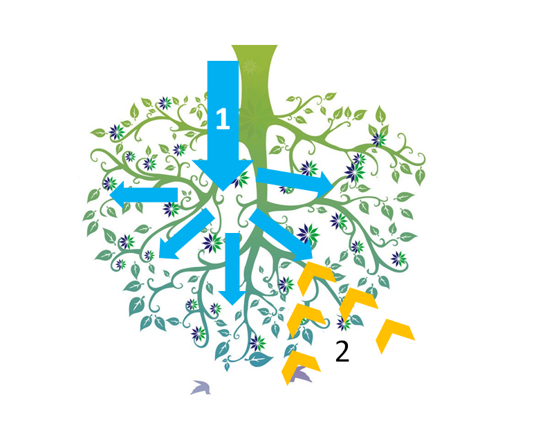 1512371960655952.png 2.PNG