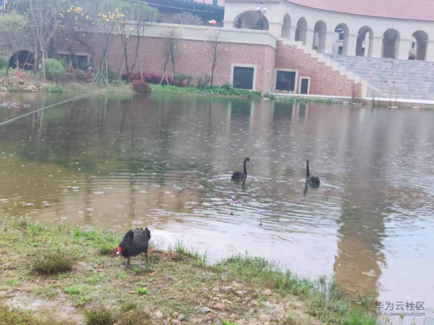 1552223502706506.jpg 微信图片_20190310211051.jpg