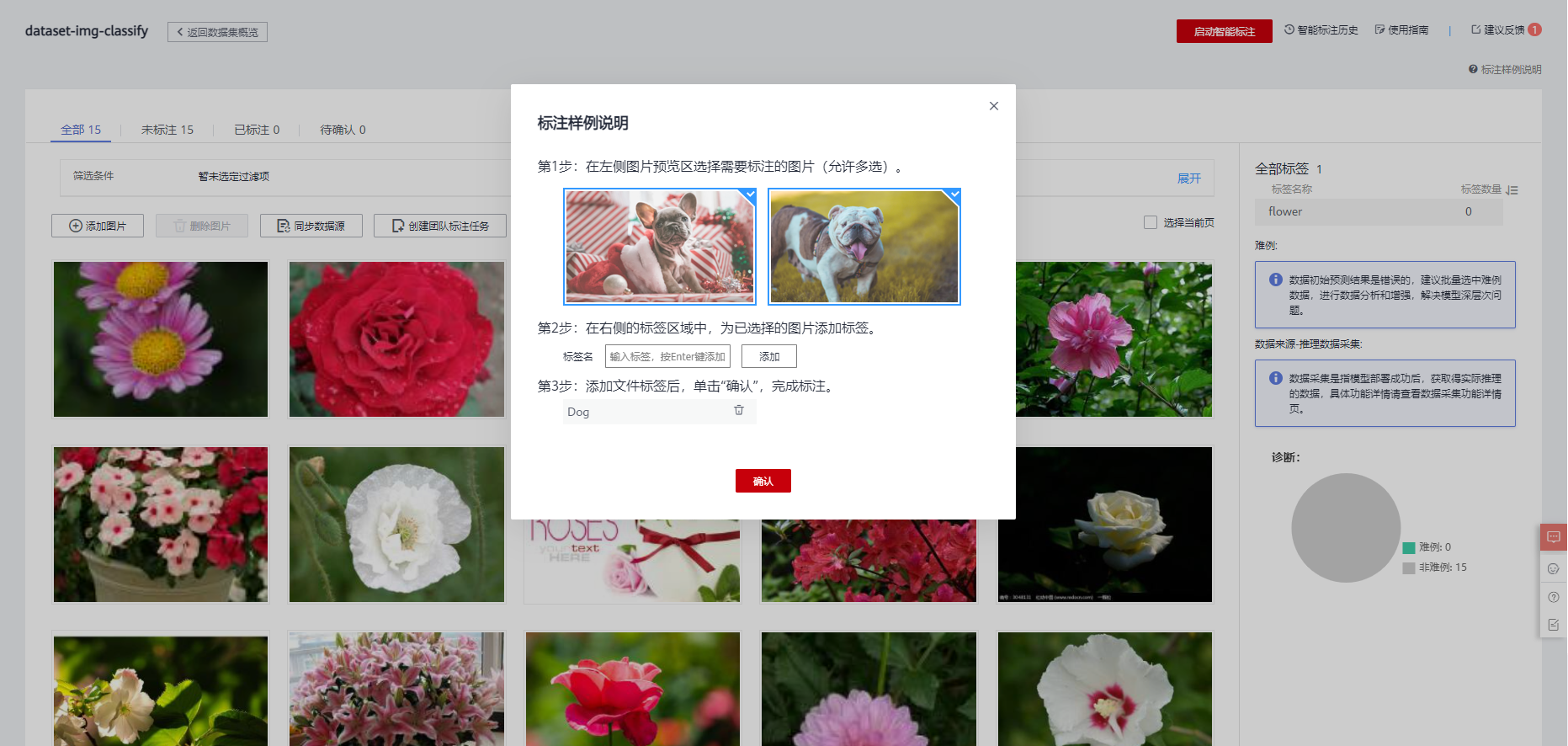 dataset-classify-example