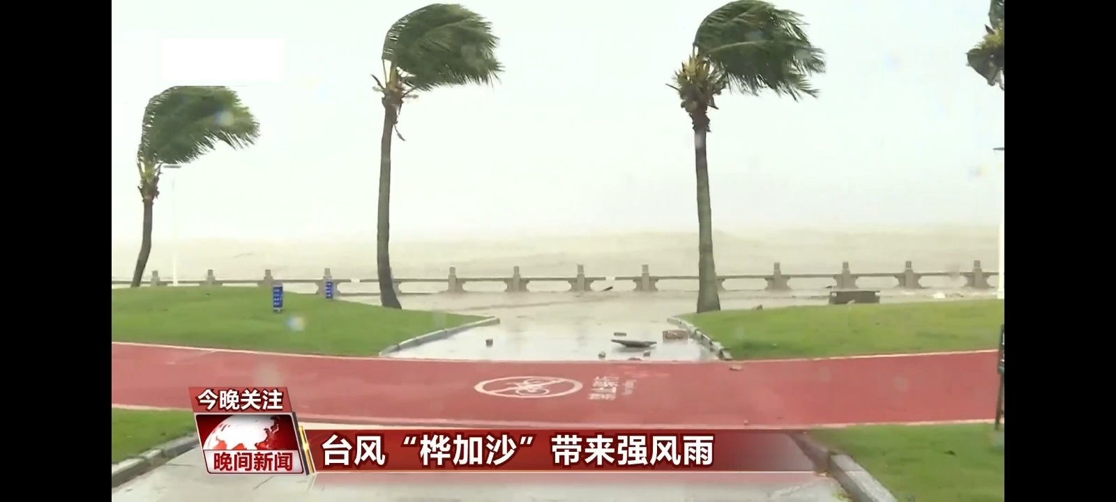 mytv11.jpg