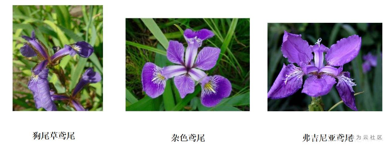 1604814750352000153.png image.png