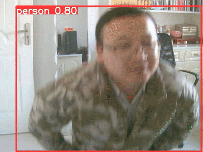 yolo5 demo.gif