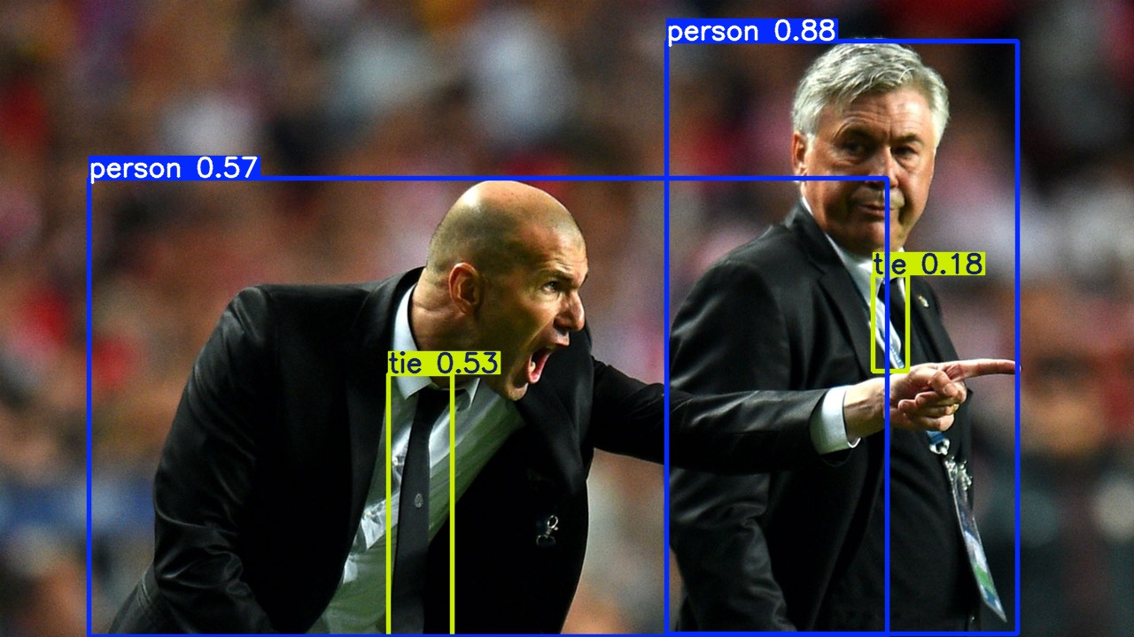 zidane3.jpg