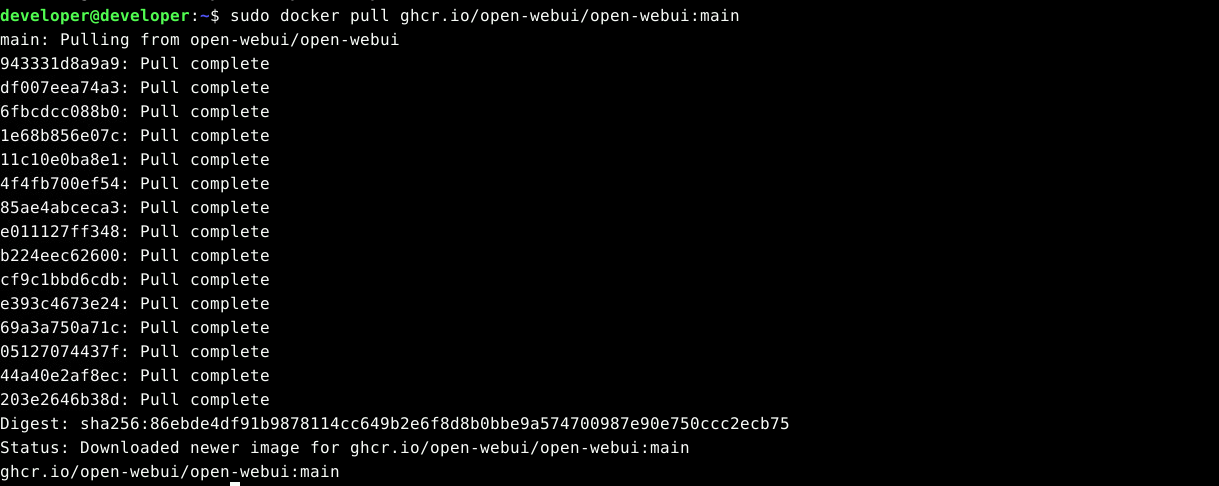安装open-webui.png