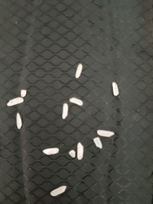 rice.png
