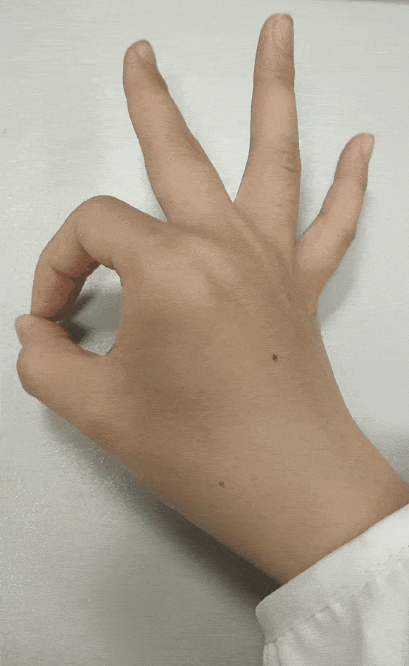 图片11 (1).gif