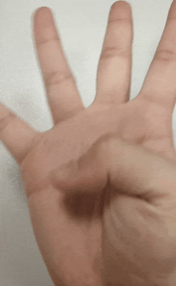 图片13 (1).gif
