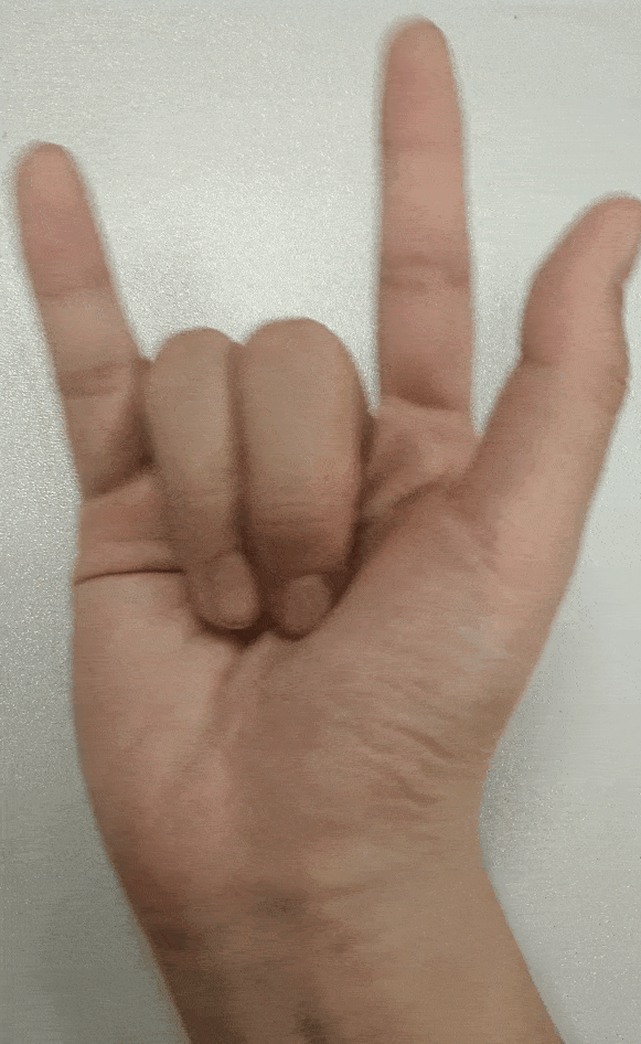图片15 (1).gif