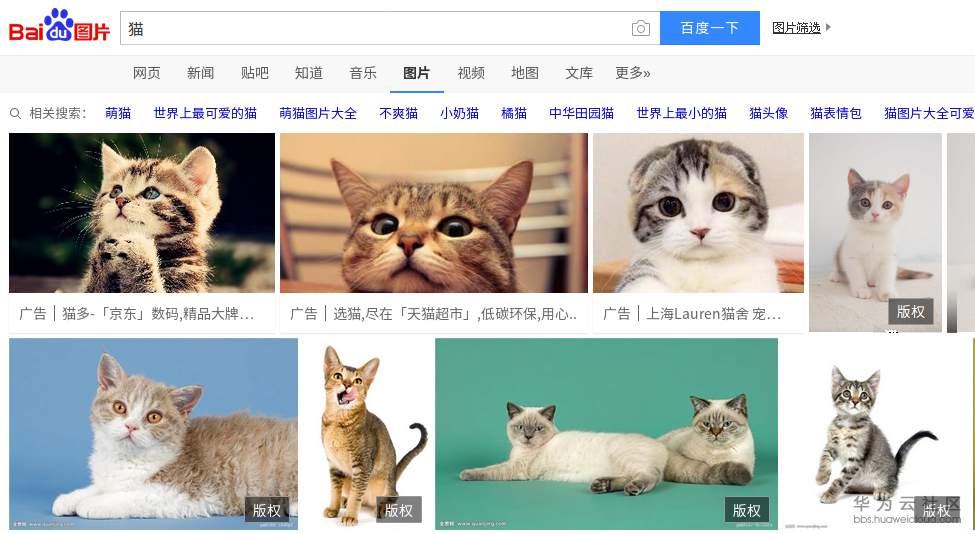 1542352343187521.png 1a.png