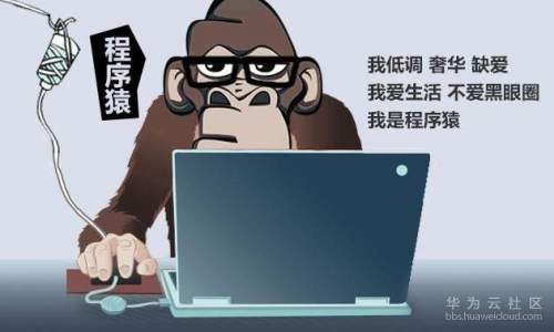 程序员_11.jpg