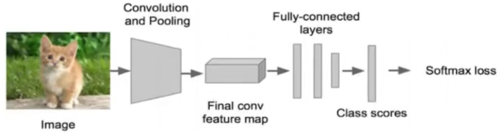 softmax.jpg