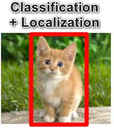 objection_cat.jpg