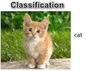 class_cat_2.jpg