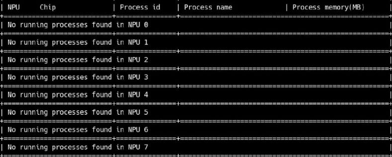 npu1.jpg