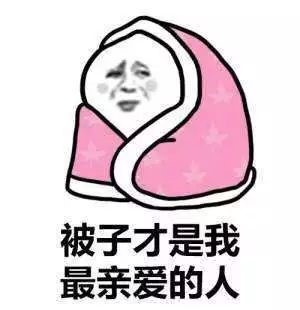 d.jpg