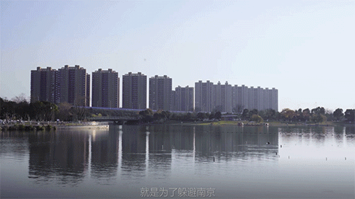 公司选址考虑v1.gif
