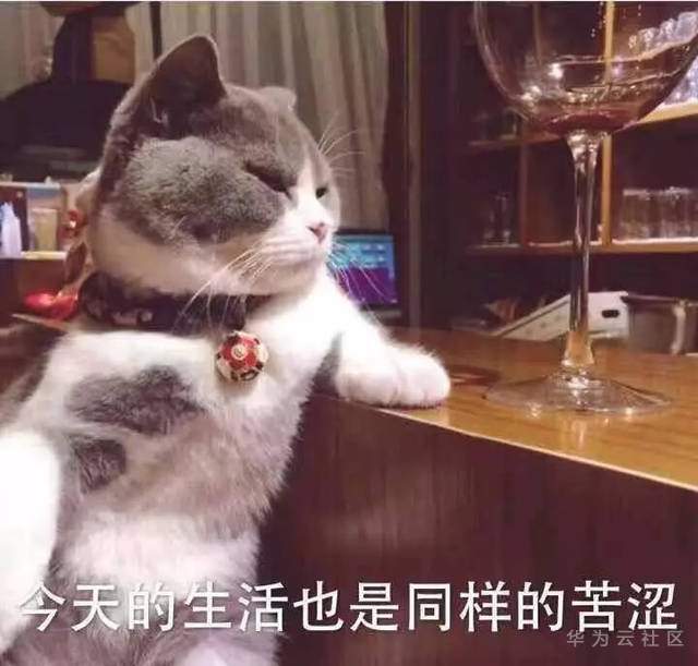 生活不易.jpg