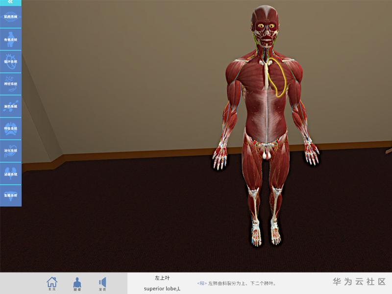 解剖2.png