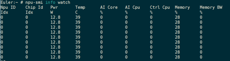 npu-smi_info_watch.PNG