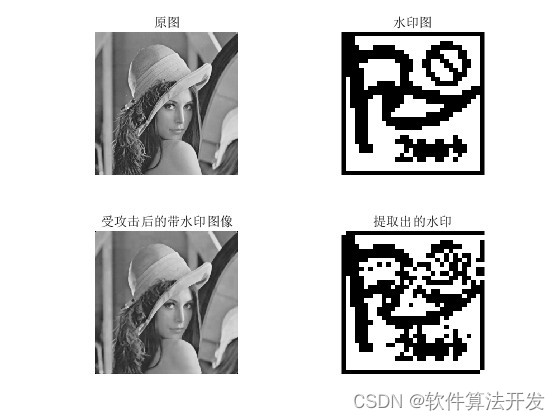2.jpeg