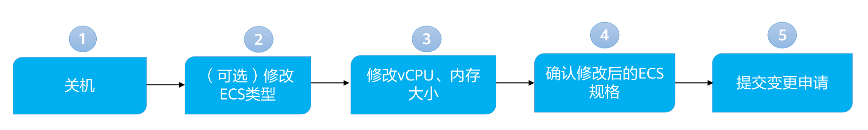 11.png