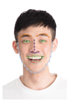 17.jpg