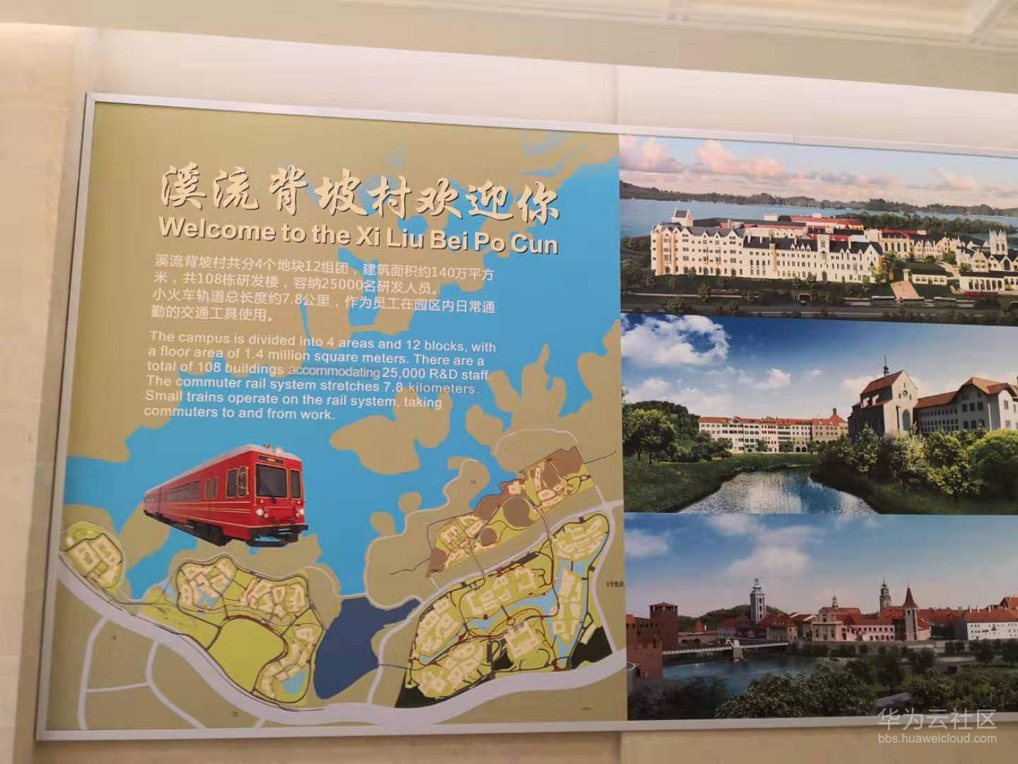 微信图片_201903082306188.jpg
