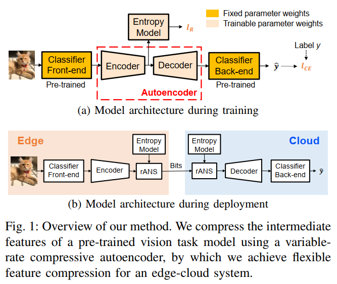 fig11.png