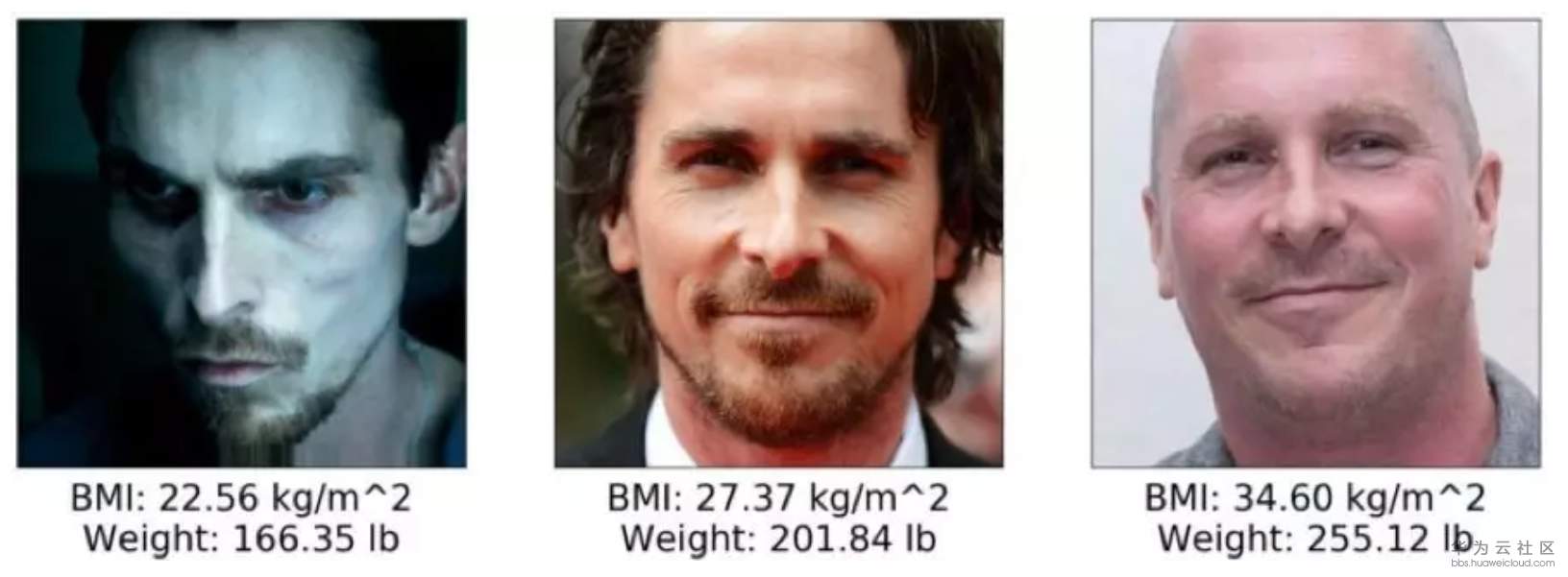 1565073169988736.png image.png