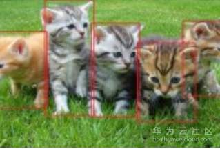 1565225399124816.png image.png