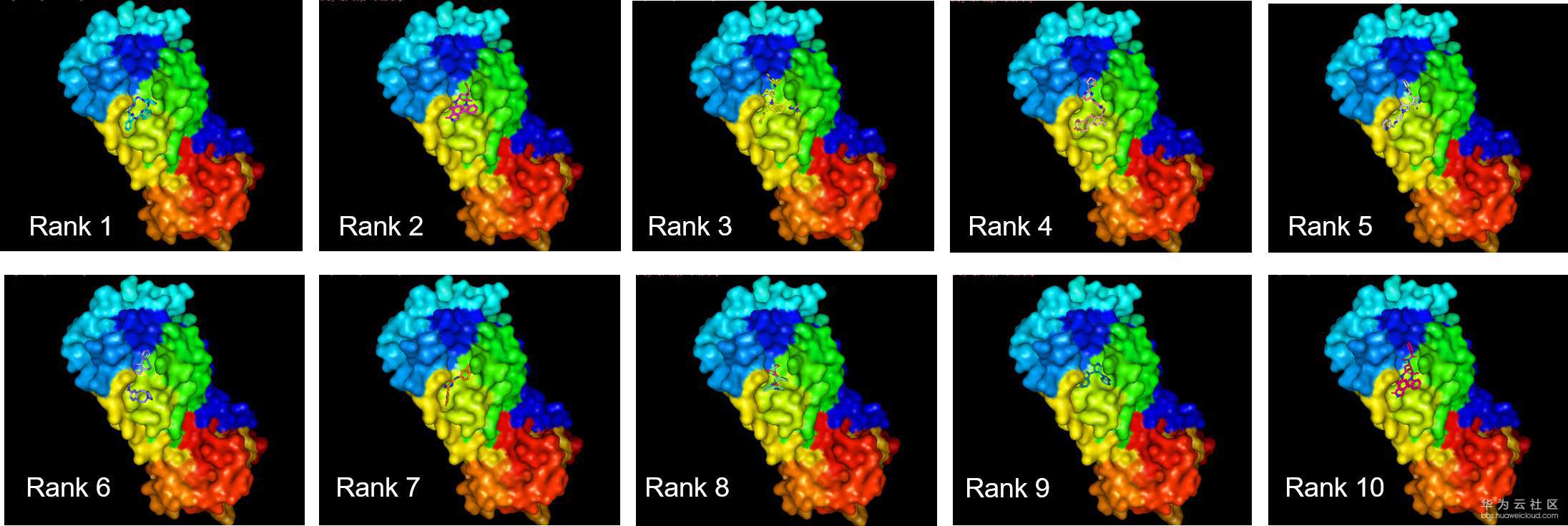 1581235274507511.jpeg 1580789703441202.png.jpeg