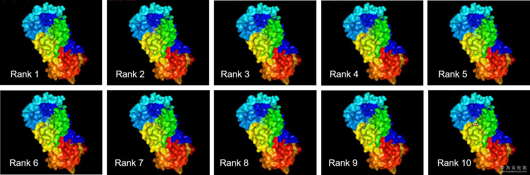 1581235312387681.jpeg 1580789725584952.png.jpeg