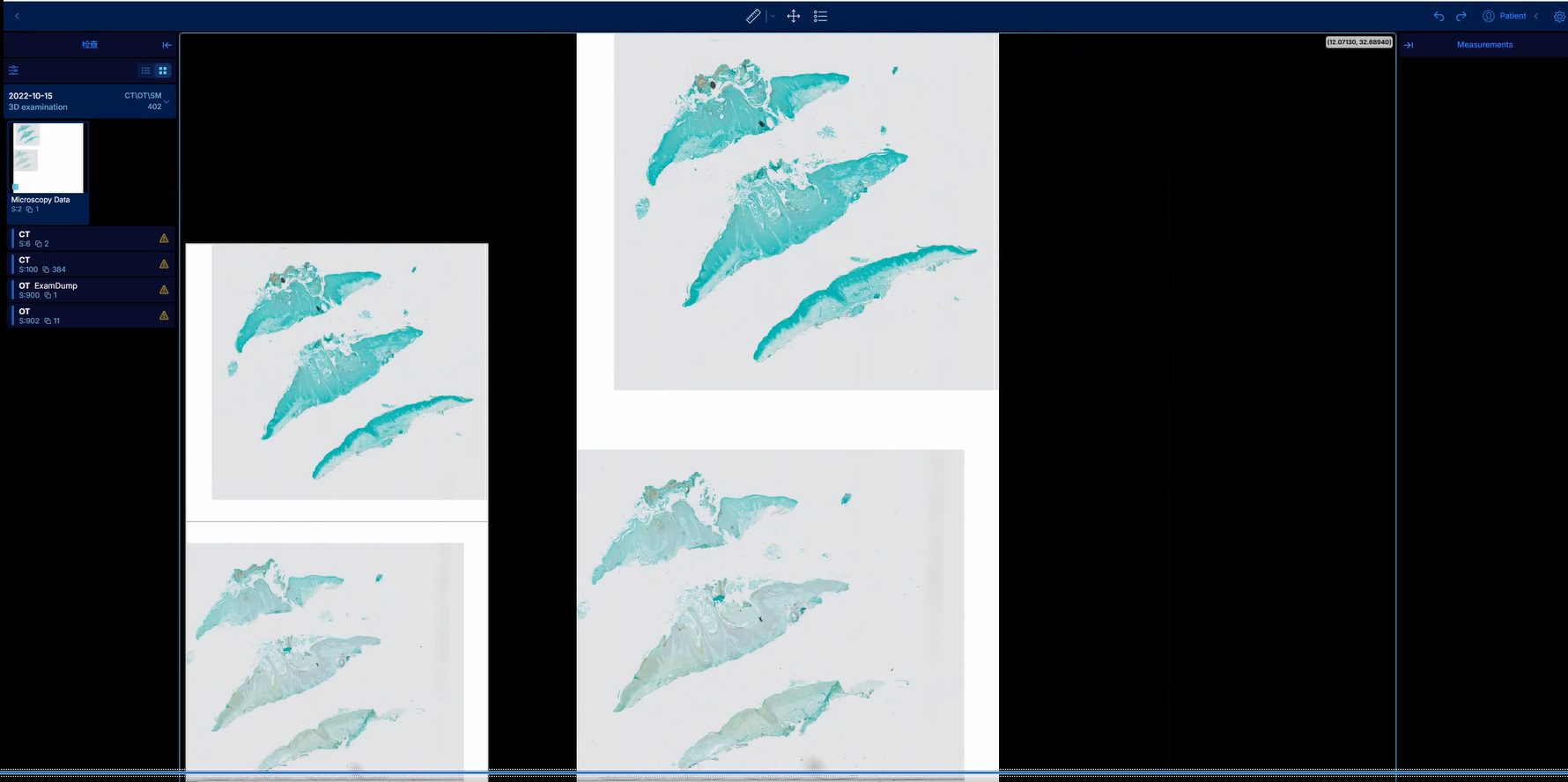 病理2.png