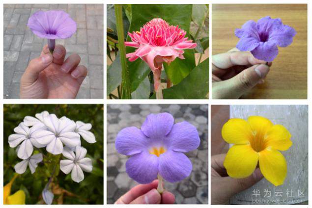 1551145854808816.png 4a.png