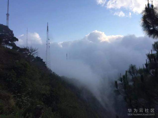 1544754474247361.jpg aa.jpg