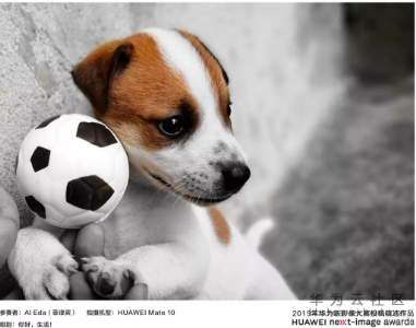 1564041483431800.png image.png