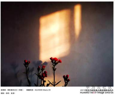 1564041596402651.png image.png