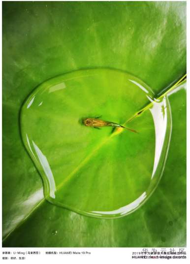 1564041614549257.png image.png