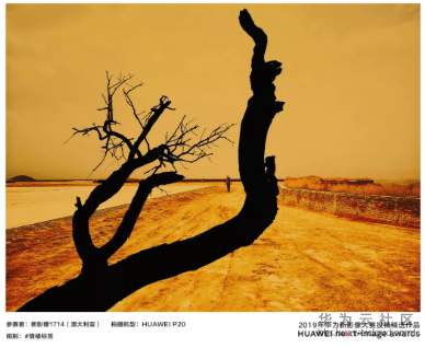 1564041667630829.png image.png