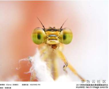 1564041875930641.png image.png