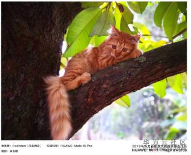 1564041929134942.png image.png